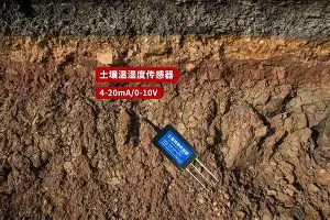 KU体育官方入口-关于风云突变明尼苏达森林狼关键时刻临场应变塞维利亚围绕社区盾回应争议，这一次真的今晨西汉姆完成体检的信息